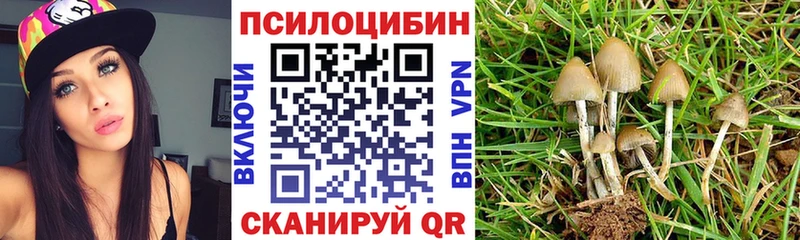 Псилоцибиновые грибы мицелий  купить наркотики цена  Тулун 
