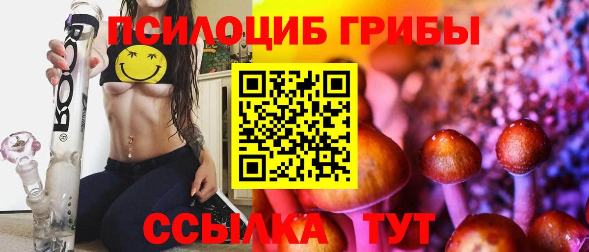 Тулун  Галлюциногенные грибы MAGIC MUSHROOMS  Вход с VPN  Псилоцибиновые грибы GOLDEN TEACHER 
