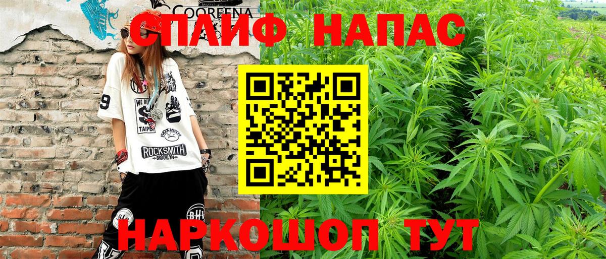 Конопля гибрид Тулун